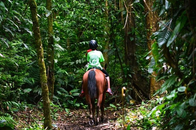 Horseback Riding to the Volcano at Arenal Wilberth Stable - Common questions