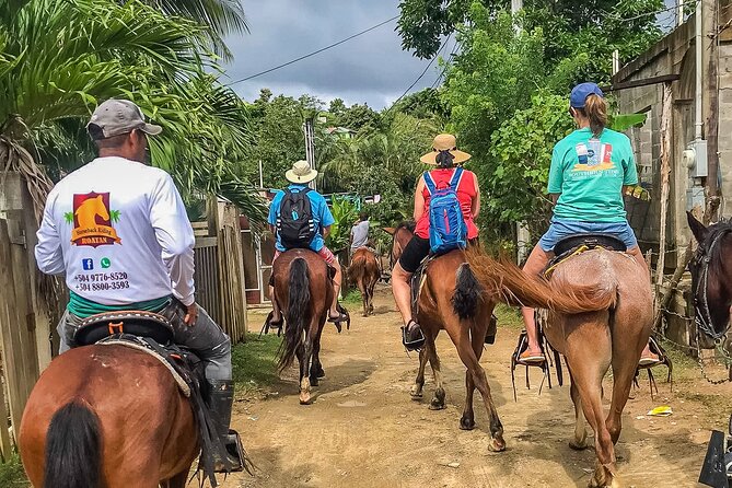 Horseback Riding Trail Tour, Roatan Letters and Ocean in Flowers Bay - Transportation Information