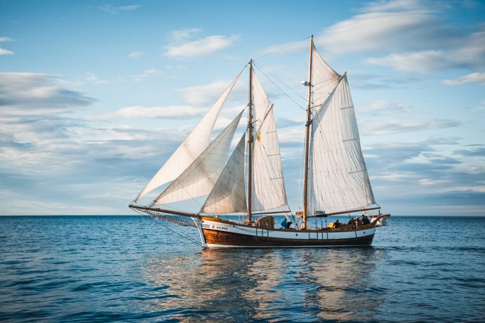 Húsavík: Whale Watching by Traditional Wooden Sailing Ship - Key Highlights