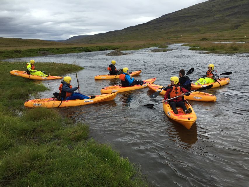 Icelandic Kayak Trip - Full Description