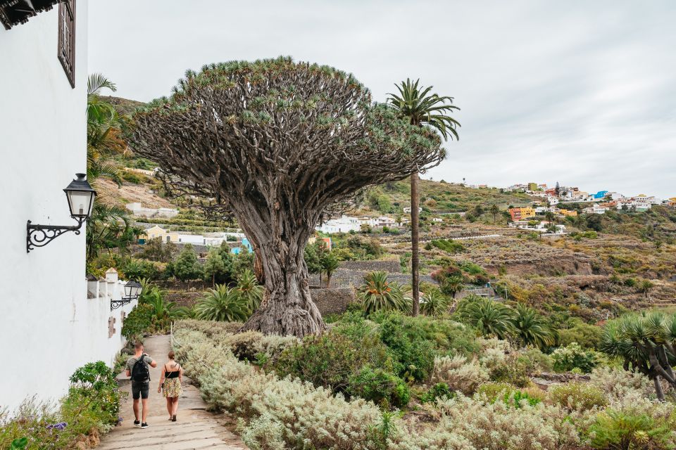 Icod De Los Vinos: Dragon Tree & Botanical Garden Ticket - Experience Highlights