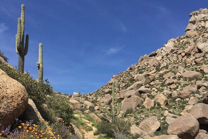 Iconic Toms Thumb Hiking Adventure in Scottsdale - Scottsdale Scenic Views