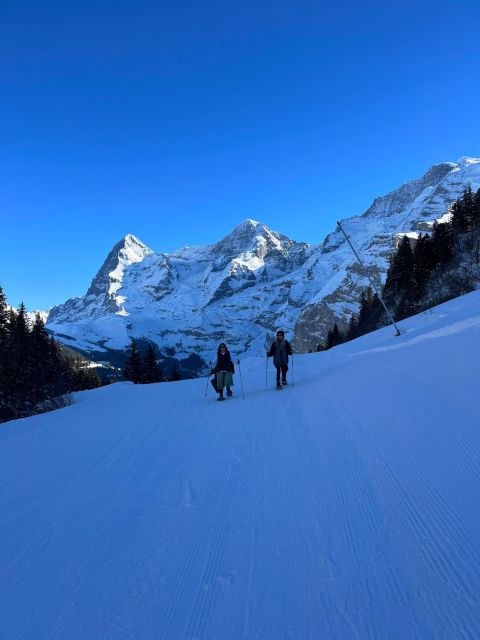 Interlaken: Snowshoe and Fondue Adventure in the Swiss Alps - Hike Details