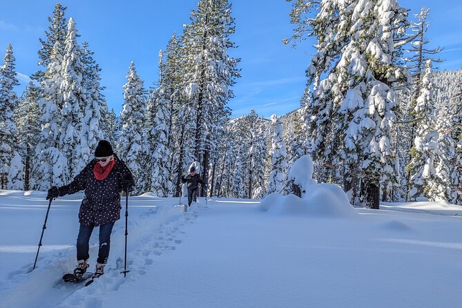 Introductory Snowshoe Shared Experience - Guided Tour Information