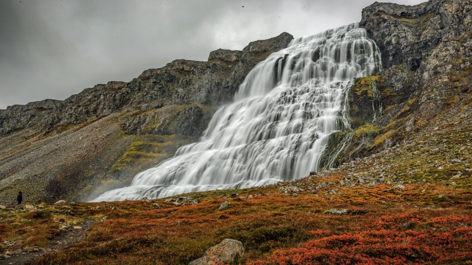 Isafjordur: Dynjandi Waterfall Tour and Icelandic Farm Visit - Full Description
