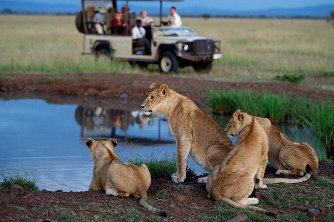 Isimangaliso Wetlands Park & Hluhluwe Imfolozi Game R 2 Day Tour From Durban - Tour Guide and Staff