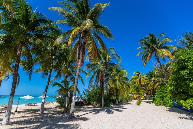 Isla Mujeres Catamaran Tour, Open Bar and Optional Buffet Lunch - Customer Reviews and Feedback