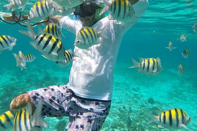 Isla Mujeres Snorkeling Adventure at the Underwater Museum - Experience Highlights