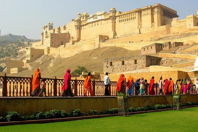 Jaipur Day Tour - Private Car & Guide. - Cancellation Policy