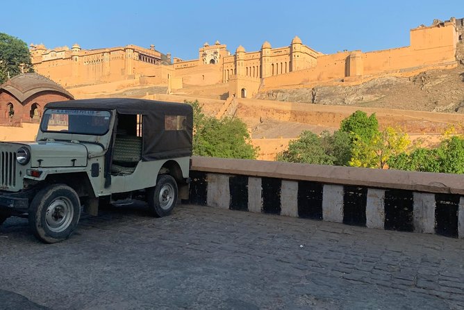 Jaipur Sightseeing By Car, Driver and Guide - Customer Reviews Overview