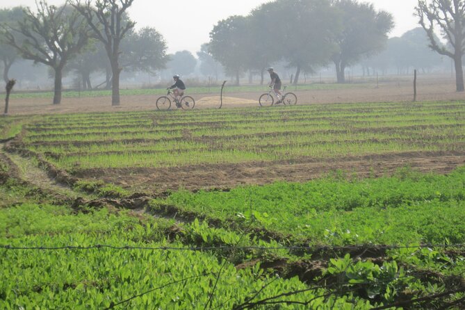 Jaipur Village Cycling Safari - How to Book Your Cycling Adventure