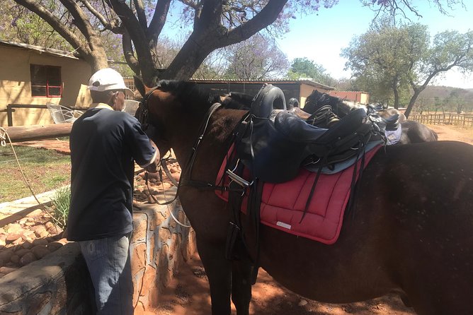 Johannesburg Private Horseback Riding Safari  - Pretoria - Customer Support