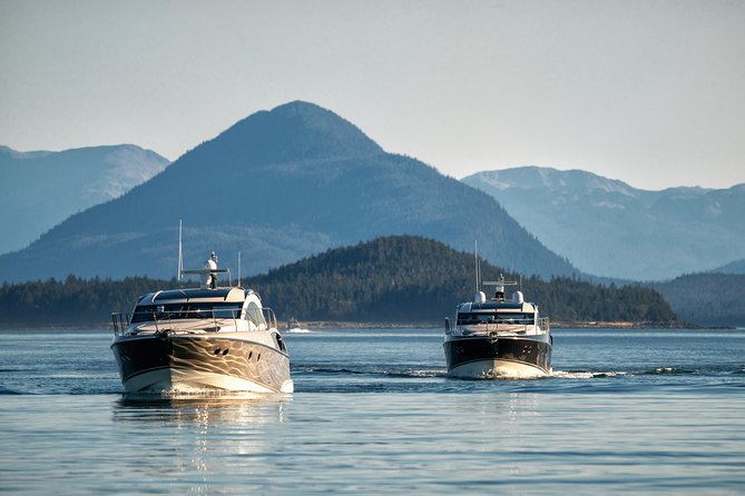 Juneau by Land & Sea - Wildlife Encounters