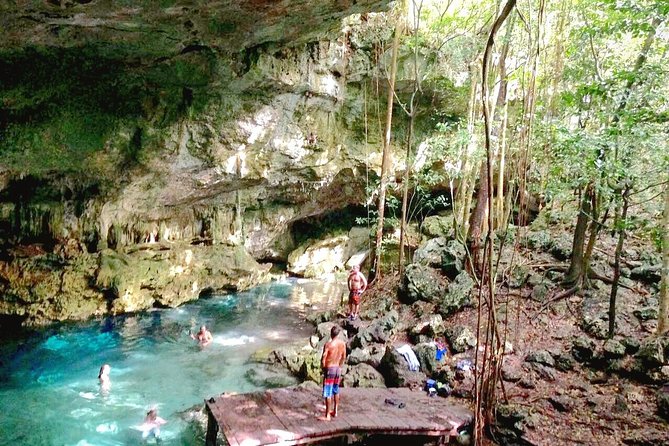 Jungle Buggy Tour From Playa Del Carmen Including Cenote Swim - Visitor Feedback