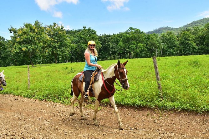 Jungle Horseback Riding Chocolate Experience - Reviews and Ratings