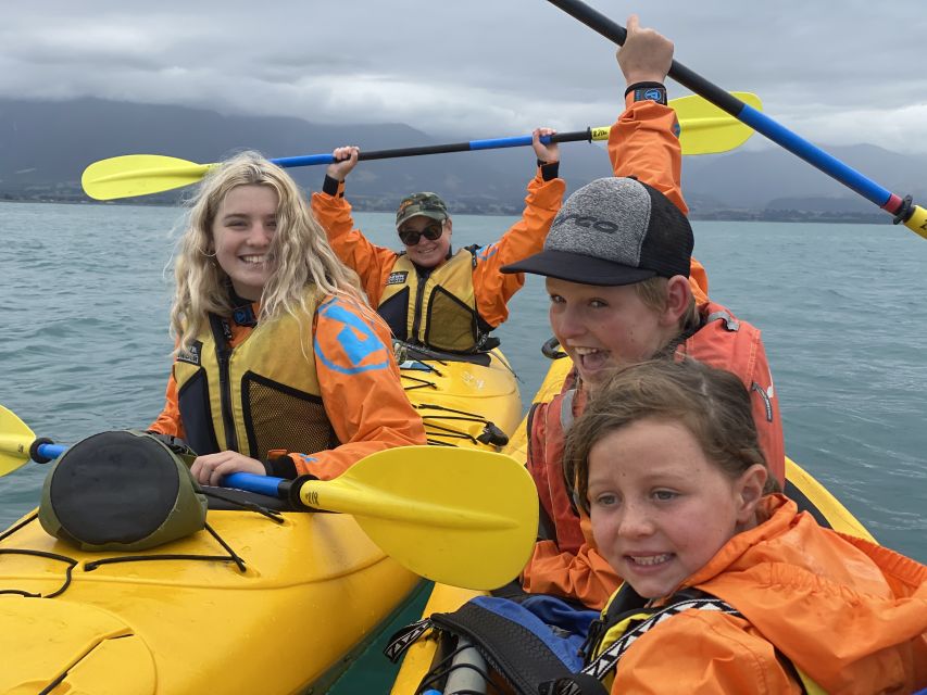 Kaikoura: Guided Family Kayaking Adventure - Risks and Recommendations