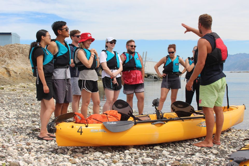 Kaikoura: Seal-Watching Pedal Kayak Tour - Customer Reviews