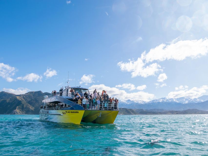 Kaikoura: Whale Watching Cruise - Detailed Experience Description