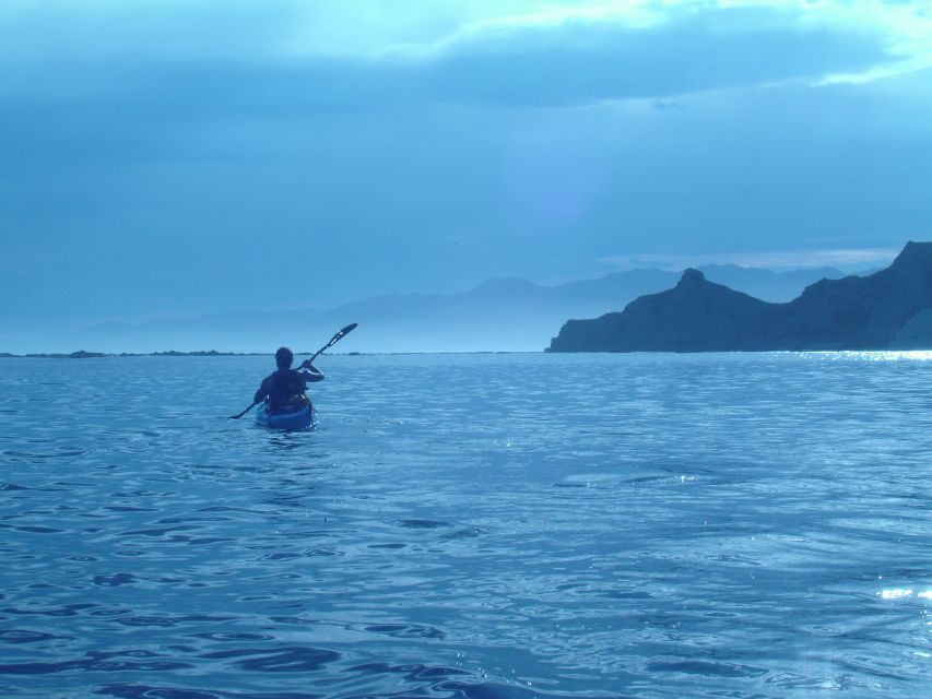 Kaikoura: Wildlife Kayaking Tour at Sunset - Guided Kayak Tour Highlights