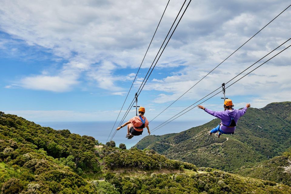 Kaikōura: Zipline and Native Forest Adventure Trip - Full Description