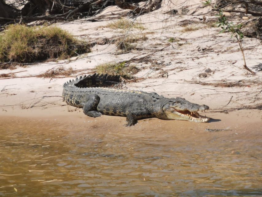 Kakadu National Park, 4WD, 4-6 Guests Only, Day Trip W/Lunch - Tour Highlights