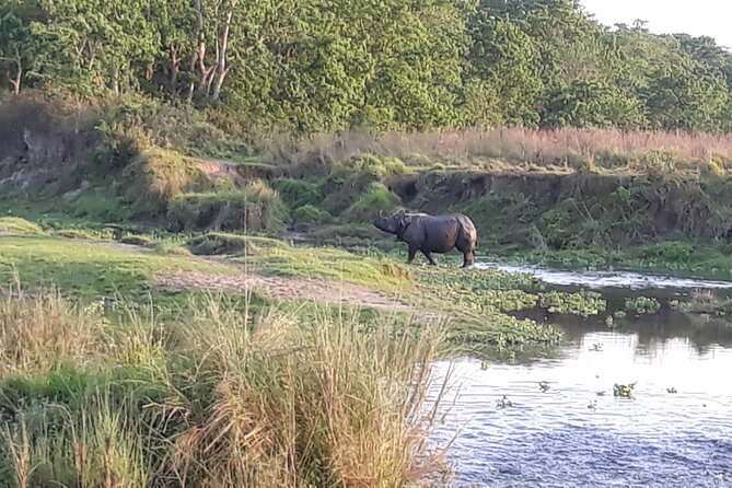 Kathmandu Cultural Tour and Wildlife in Bardia - Booking Information