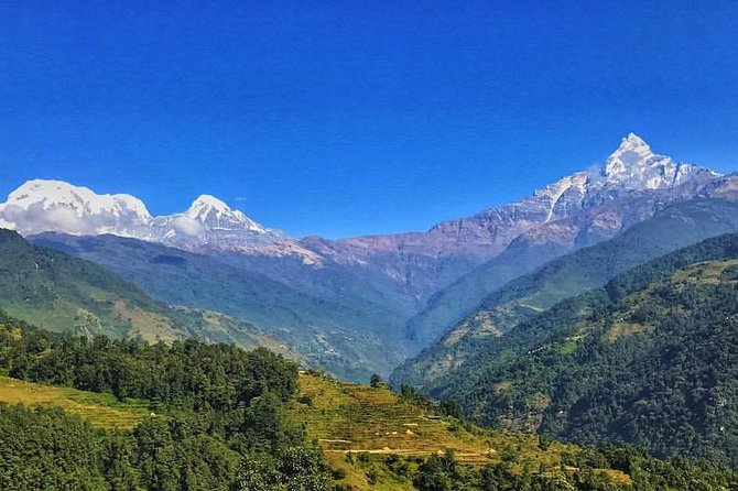 Kathmandu,Chitwan,Pokhara With Dhampus Sarangkot Trek - Detailed Itinerary