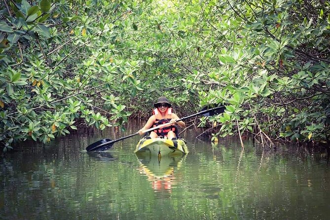 Kayak Adventure in Cancun - Reviews and Recommendations