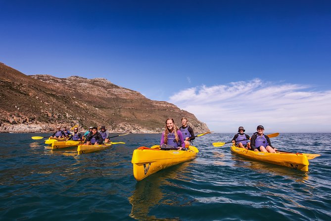 Kayak Chapmans Peak and Karbonkelberg in Hout Bay - Cancellation Policy