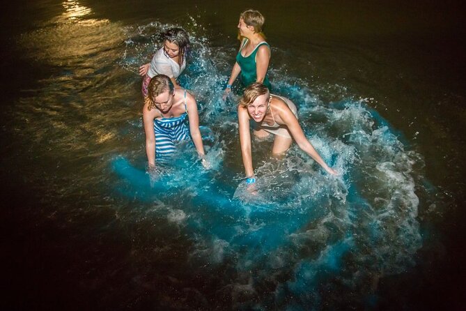 Kayak Experience and Swiming With the Bioluminescence in Holbox - Customer Reviews