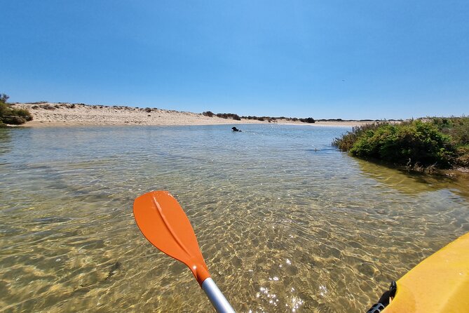 Kayak Rental in Praia Dos Cavacos - Equipment Options