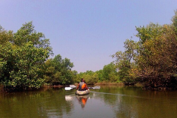 Kayaking Trails in Goa - Self-Guided Kayaking Routes