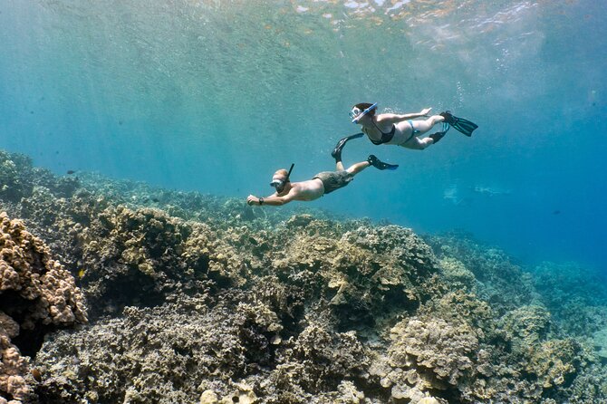 Kealakekua Bay Snorkel - Booking Confirmation and Restrictions