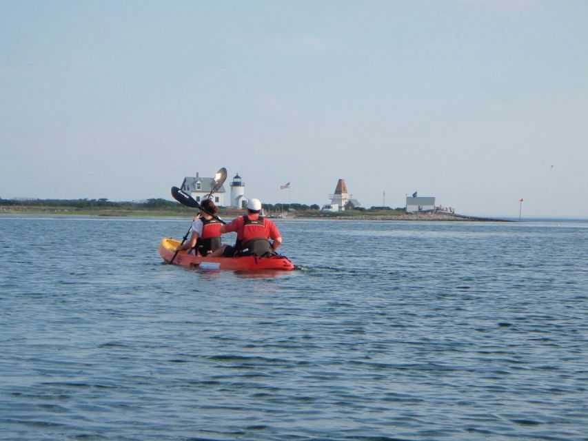 Kennebunkport: Cape Porpoise Half-Day Kayak/SUP Rental - Inclusions