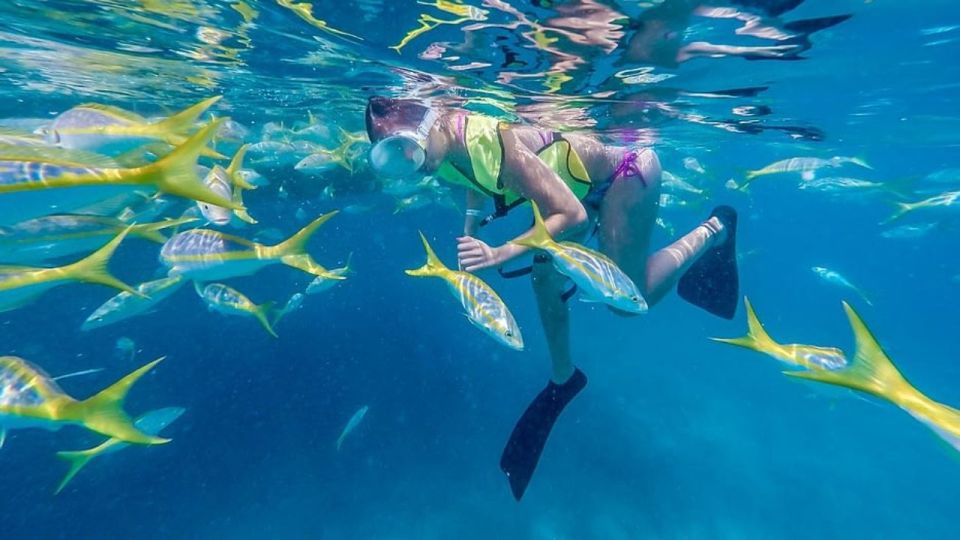 Key West: 3-Hour Coral Reef Snorkeling - Participant Information