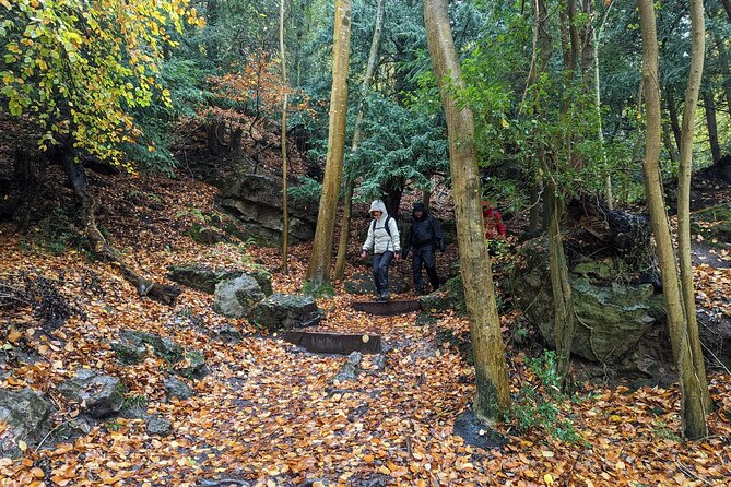 King Arthurs Wye Valley River And Forest Hike From Cardiff - Whats Included