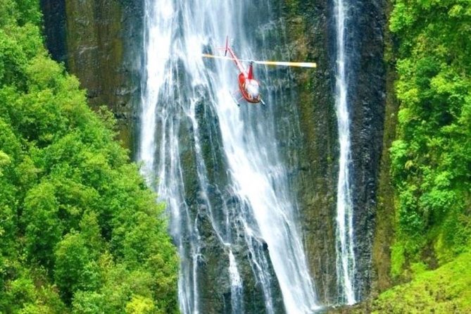 Kohala Volcano, Waterfalls and Coast Private Helicopter Tour  - Big Island of Hawaii - Weight Restrictions