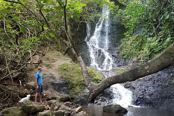 Koolau Waterfall Hike - Traveler Feedback