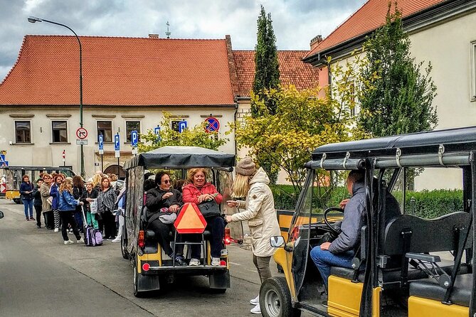Krakow Guided Tour by Golf Cart in Old Town, Wawel Castle & Salt Mine Wieliczka - Operator Background