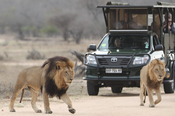 Kruger National Park Full Day Private Safari - Meeting and Pickup Details