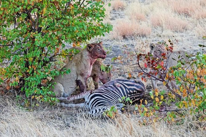 Kruger National Park Full Day Tour Minimum 2people - Customer Feedback