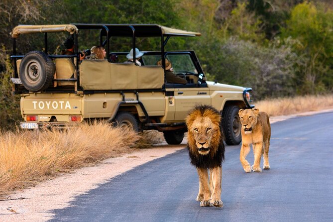 Kruger Park Half Day Open Vehicle Safari Drive - Booking Information and Requirements