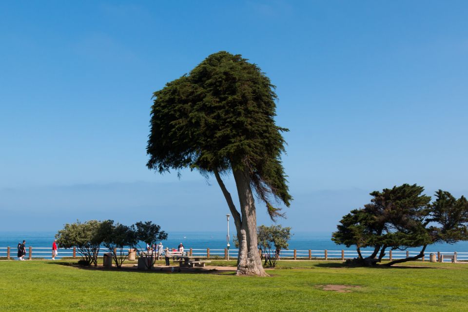 La Jolla: Self-Guided Walking Audio Tour - Tour Inclusions