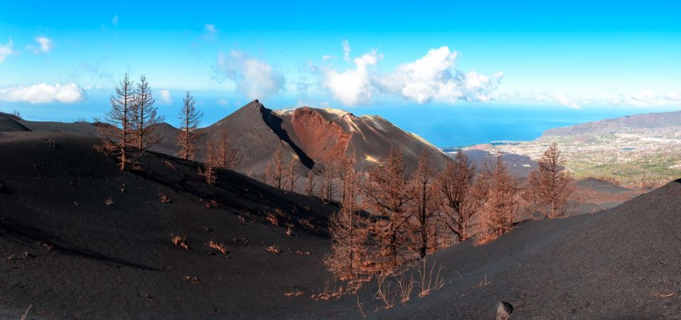 La Palma: Guided Tour to Tajogaite Volcano With Transfer - Review Summary