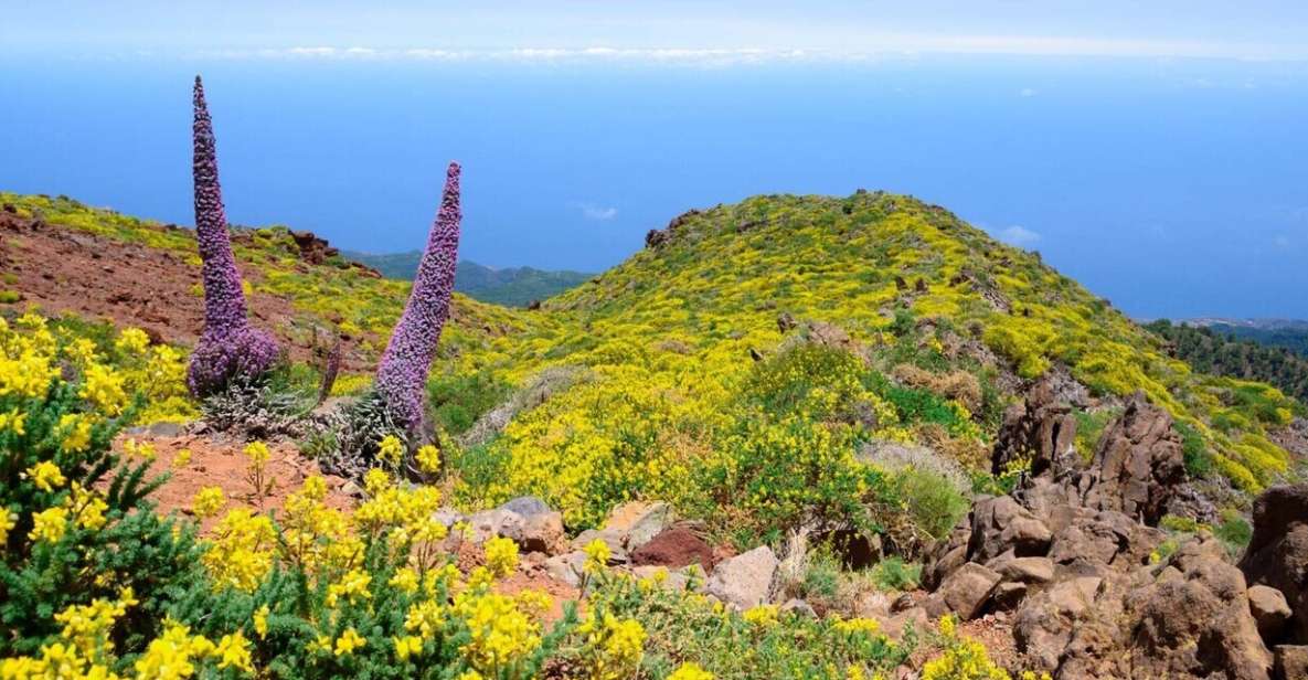 La Palma: Guided Trekking Tour to El Roque De Los Muchachos - Inclusions and Restrictions