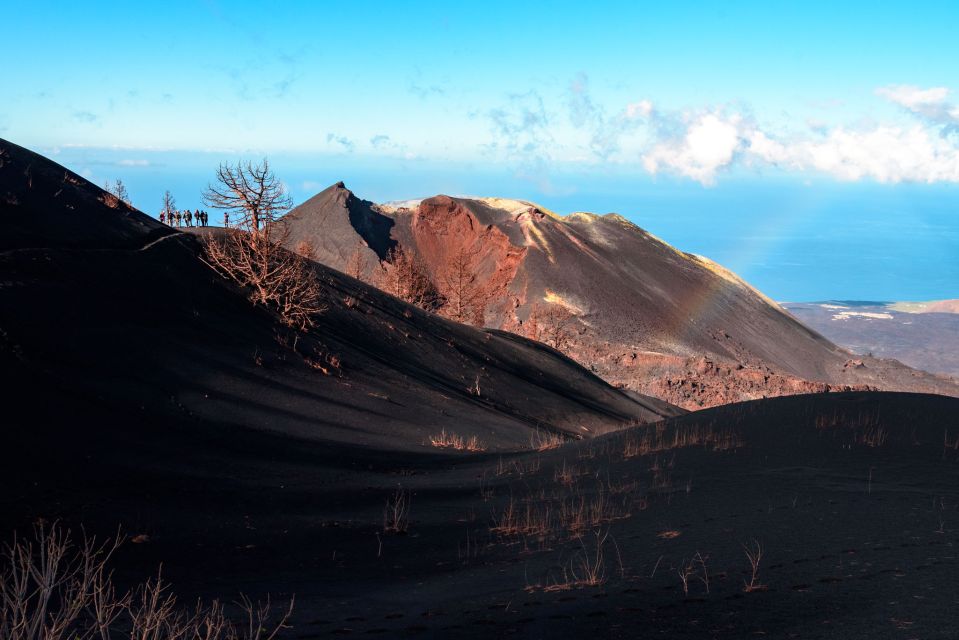 La Palma: Guided Volcano Trekking Tour - Meeting Point Information