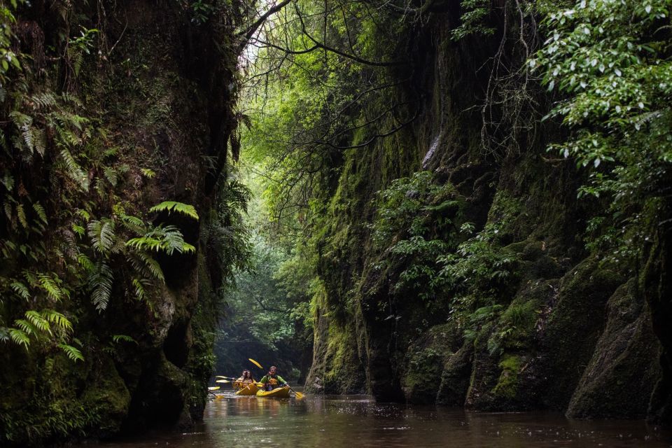 Lake Karapiro: Evening Kayak Glowworm Tour - Booking Information