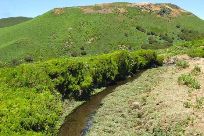 Lakes of Madeira- Alecrim Full Day Walk - End of Tour