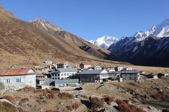 Langtang Valley Trek - Pricing Options and Terms