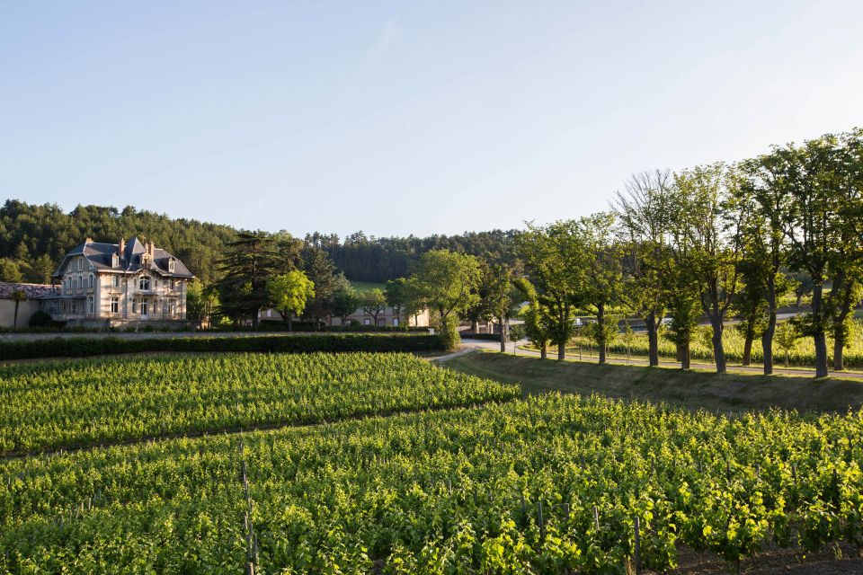 Languedoc: Tour and Tasting at Domaine De Baronarques - Included Services